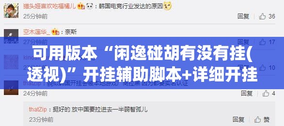 可用版本“闲逸碰胡有没有挂(透视)”开挂辅助脚本+详细开挂安装教程