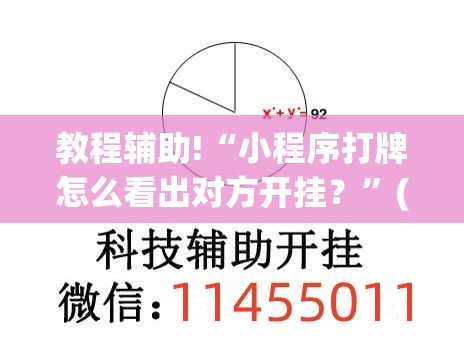 教程辅助!“小程序打牌怎么看出对方开挂？”(透视)其实确实有挂