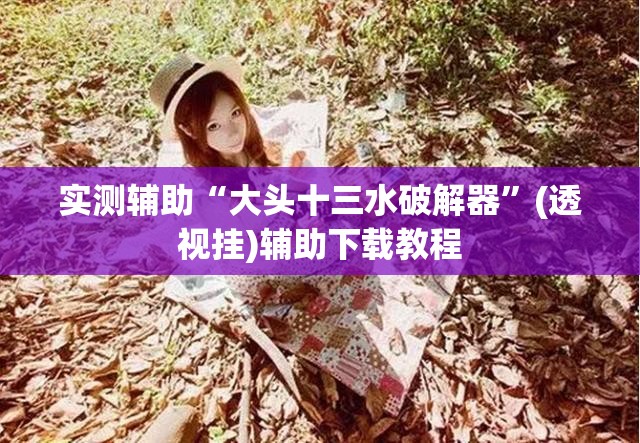 实测辅助“大头十三水破解器”(透视挂)辅助下载教程