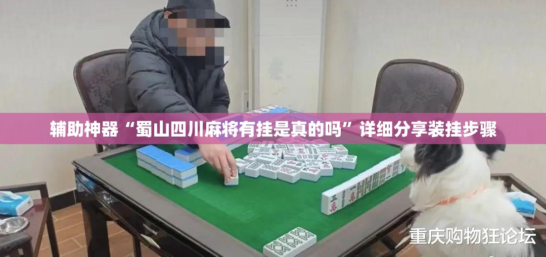 辅助神器“蜀山四川麻将有挂是真的吗”详细分享装挂步骤