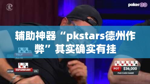 辅助神器“pkstars德州作弊”其实确实有挂
