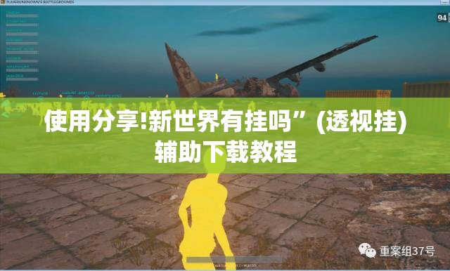 使用分享!新世界有挂吗”(透视挂)辅助下载教程
