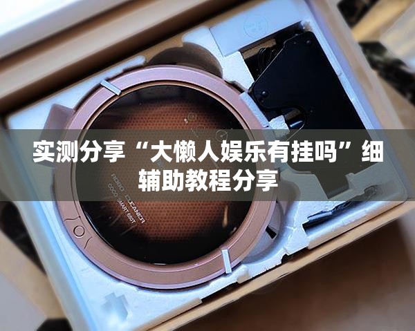 实测分享“大懒人娱乐有挂吗”细辅助教程分享