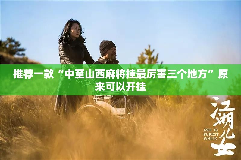 推荐一款“中至山西麻将挂最厉害三个地方”原来可以开挂