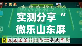 实测分享“微乐山东麻将免费挂”详细分享装挂步骤