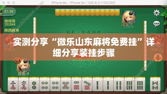 实测分享“微乐山东麻将免费挂”详细分享装挂步骤
