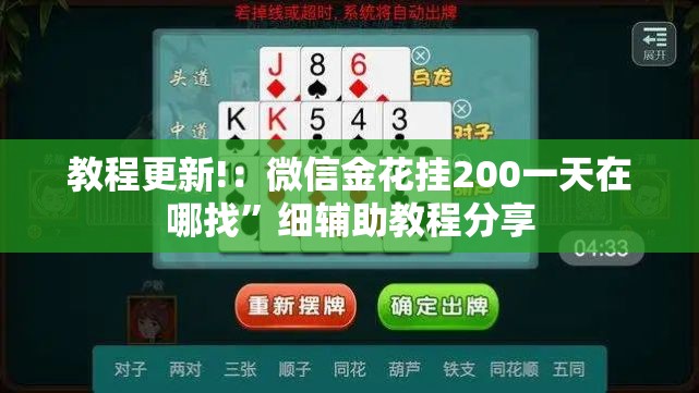 教程更新!：微信金花挂200一天在哪找”细辅助教程分享