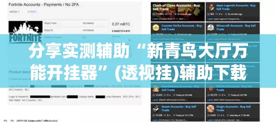分享实测辅助“新青鸟大厅万能开挂器”(透视挂)辅助下载教程