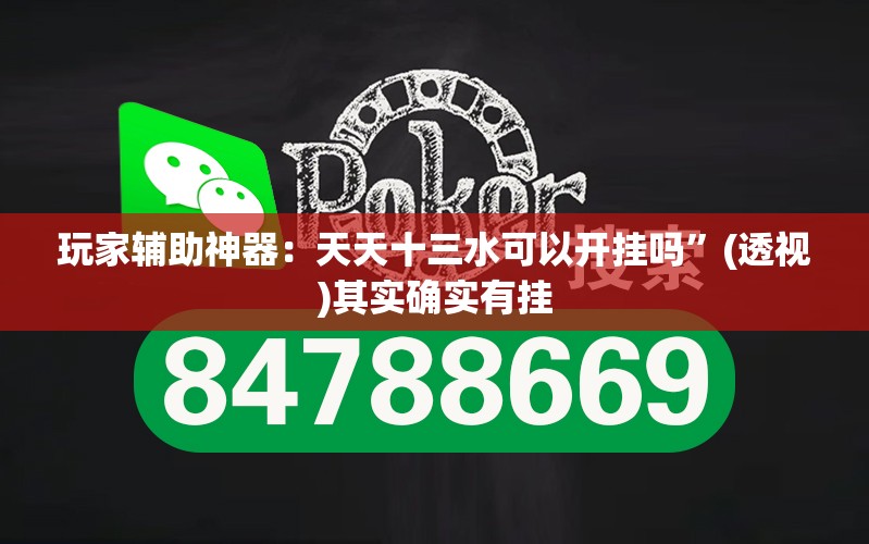 玩家辅助神器：天天十三水可以开挂吗”(透视)其实确实有挂