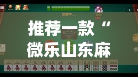 推荐一款“微乐山东麻将免费挂”开挂(透视)辅助神器